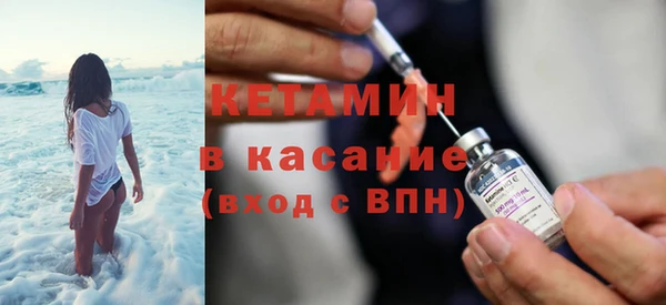 шишки Арсеньев