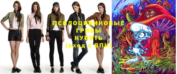 шишки Арсеньев