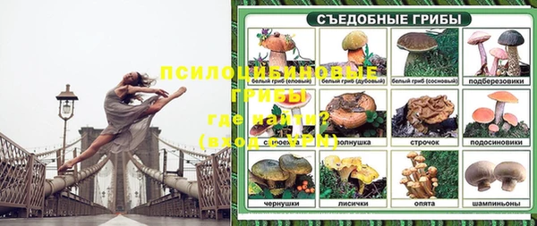 apvp Баксан