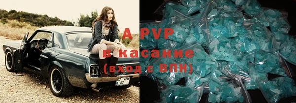 шишки Арсеньев