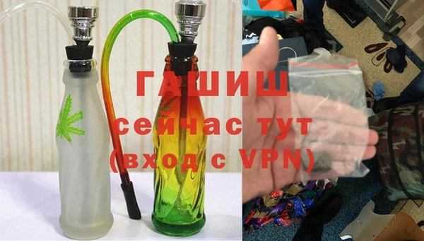 шишки Арсеньев