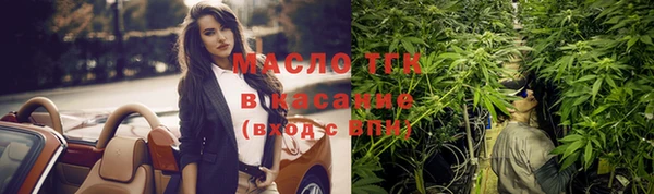 шишки Арсеньев